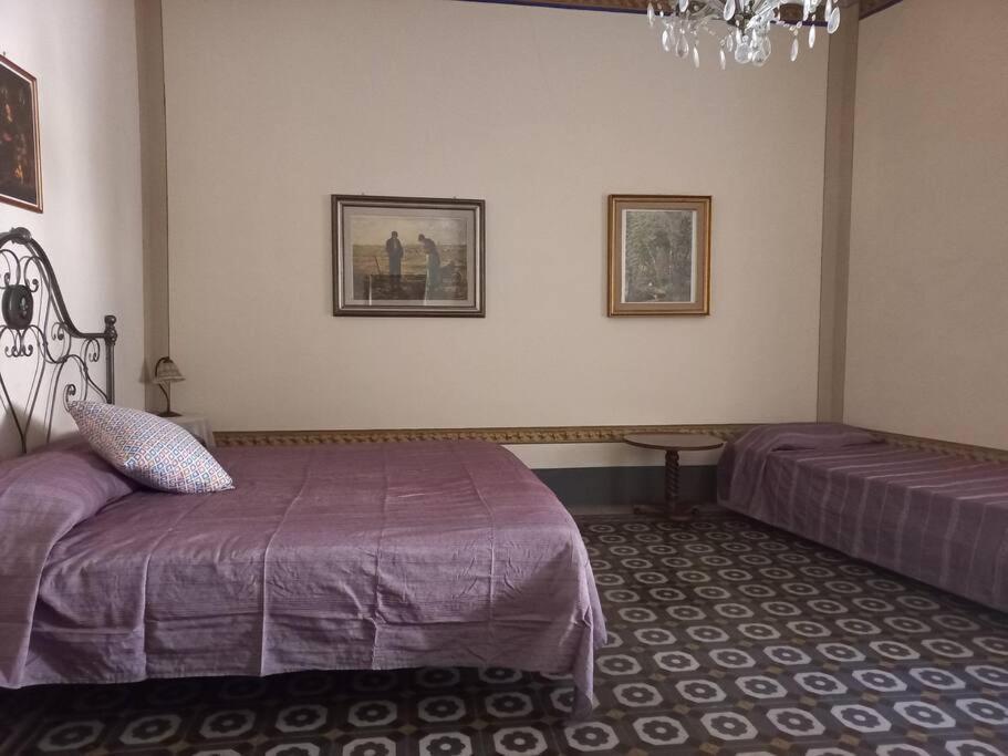 La Casa Maestri A Cetona Villa Eksteriør bilde
